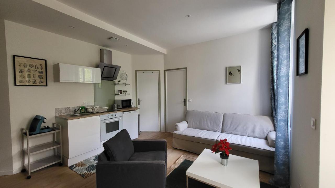 Charmant 2 Pieces Avec Terrasse Proche Centre Ville - Parking Gratuit A Proximite Lourdes Buitenkant foto